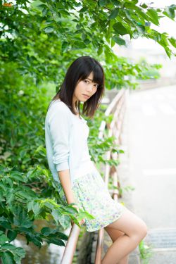 兰陵王妃小说