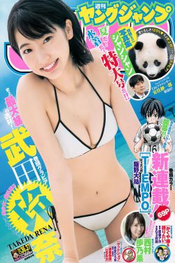 水龙吟电视剧