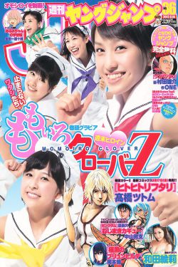 亮剑李幼斌版