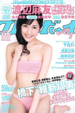 红楼梦第六回